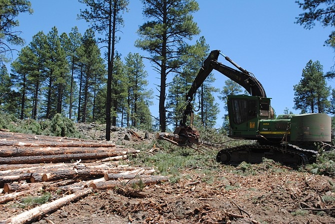 Picture of Thinning logging in Arizona. Photo courtesy USDA Forest Service