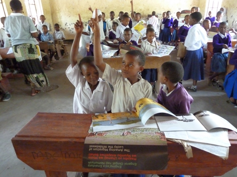 Tanzanian primary school children with giraffe and wildebeest books and posters. Wild Nature Institute