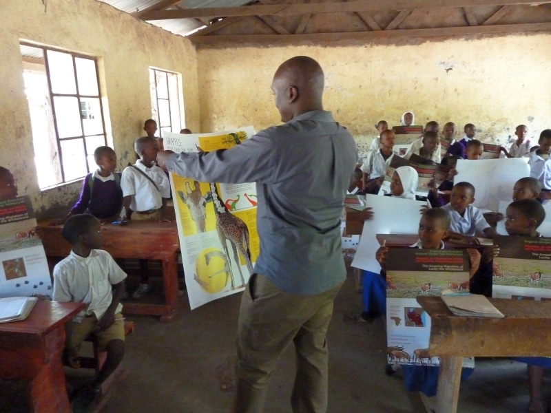 Tanzanian teacher looks at giraffe poster. Wild Nature Institute